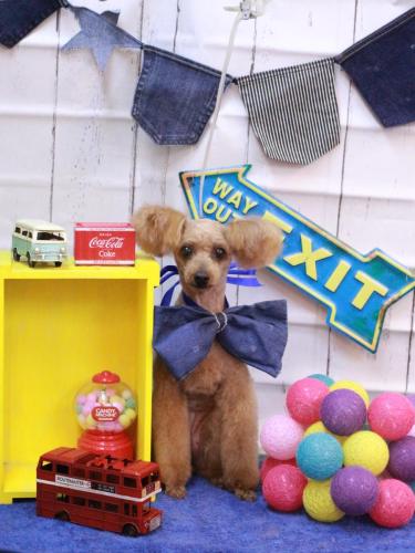 20230416ももちゃん